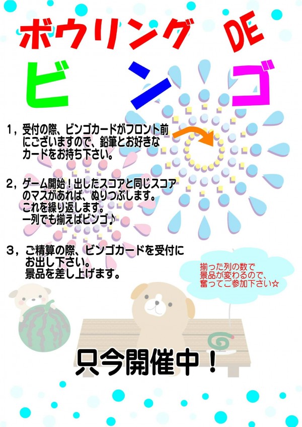 bingo-now